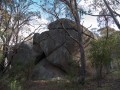 1201-1740 Namadgi (1060168)